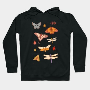 Retro Butterflies, Beetles, and other Bugs Hoodie